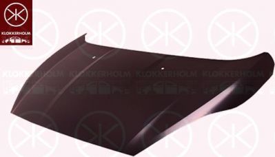 KLOKKERHOLM 2565282A1 капот двигателя на FORD FIESTA VI