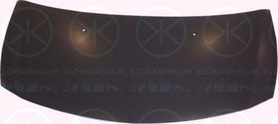 KLOKKERHOLM 6033281A1 капот двигателя на RENAULT CLIO Grandtour (KR0/1_)