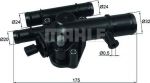 Knecht/Mahle TI 243 89 термостат, охлаждающая жидкость на RENAULT MEGANE II (BM0/1_, CM0/1_)