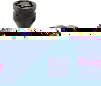 LS Slik Болт секретный M14x1.25 54/28 конус, 4+2 ключа, Black