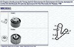 Magneti Marelli 341310831101 комплект ремня грм на FIAT DUCATO фургон (250, 290)