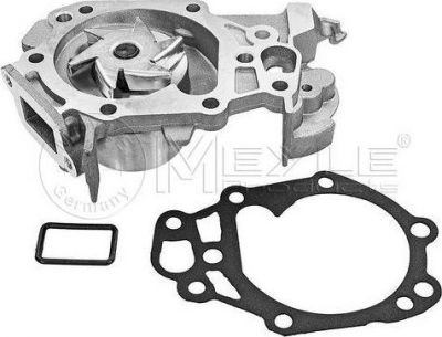 Meyle 16-13 220 0021 водяной насос на RENAULT CLIO III (BR0/1, CR0/1)