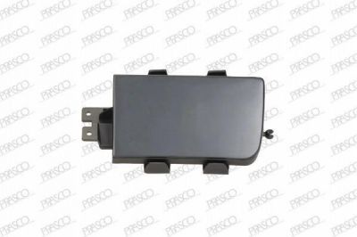 Prasco BM0421248 покрытие, фара на 5 (E34)