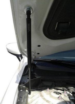 RIVAL RIVAL A.ST.3802.1 Амортизаторы капота RIVAL (2 шт.) Mazda 6/ Mazda 3 (2013-/2013-) (A.ST.3802.1)