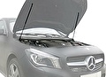 RIVAL RIVAL A.ST.3902.1 Амортизаторы капота Mercedes-Benz CLA (2013-) (A.ST.3902.1)