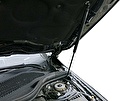 RIVAL RIVAL A.ST.3902.1 Амортизаторы капота Mercedes-Benz CLA (2013-) (A.ST.3902.1)