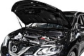 RIVAL RIVAL A.ST.4113.1 Амортизаторы капота RIVAL (2 шт.) Nissan X-Trail 2015- (A.ST.4113.1)