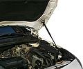 RIVAL RIVAL A.ST.4201.1 Амортизаторы капота RIVAL (2 шт.) Opel Astra 2010-2015 (A.ST.4201.1)