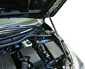 RIVAL RIVAL A.ST.5701.1 Амортизаторы капота RIVAL (2 шт.) TOYOTA Corolla (2013-) (A.ST.5701.1)