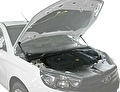 RIVAL RIVAL A.ST.6007.1 Амортизаторы капота RIVAL (2 шт.) Lada Vesta (2015-09.2017) (A.ST.6007.1)
