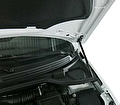 RIVAL RIVAL A.ST.6007.1 Амортизаторы капота RIVAL (2 шт.) Lada Vesta (2015-09.2017) (A.ST.6007.1)