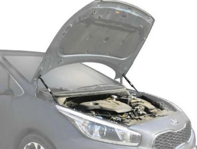 RIVAL (Автоупор) Амортизаторы капота Kia Ceed II (UKICEE012)