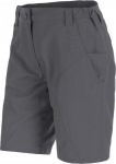 Шорты для активного отдыха Salewa 2016 FANES SEURA 2 DRY W SHORTS magnet (EUR:46/40)