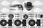 Sasic 3906068 водяной насос + комплект зубчатого ремня на AUDI A3 (8P1)