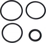 Набор резиновых уплотнений DT SWISS_Service Seal Kit TS for O28.6mm_FWKXXX0XXXX046060S