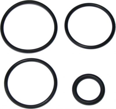 Набор резиновых уплотнений DT SWISS_Service Seal Kit TS for O28.6mm_FWKXXX0XXXX046060S