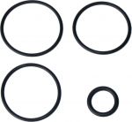 Набор резиновых уплотнений DT SWISS_Service Seal Kit TS for O32mm_FWKXXX0XXXX046061S