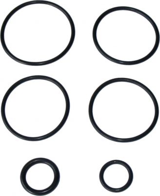 Набор резиновых уплотнений DT SWISS_SealS Kit Single Shot O32_FWKXXX0XXXX046093S