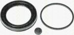 TRISCAN 8170 206042 ремкомплект, тормозной суппорт на MERCEDES-BENZ E-CLASS (W211)