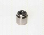 TRISCAN 8170 232805 поршень, корпус скобы тормоза на JAGUAR S-TYPE (CCX)