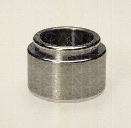 TRISCAN 8170 234001 поршень, корпус скобы тормоза на VW KAEFER кабрио (15)
