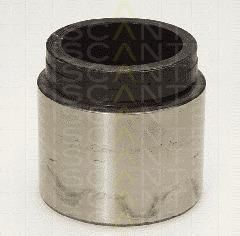 TRISCAN 8170 235207 поршень, корпус скобы тормоза на NISSAN CABSTAR E