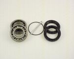 TRISCAN 8530 29205 комплект подшипника ступицы колеса на VW KAEFER кабрио (15)