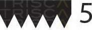 TRISCAN 8640 500718 поликлиновой ремень на PEUGEOT 405 I Break (15E)