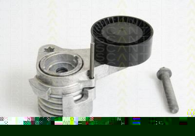 TRISCAN 8641 113027 натяжитель ремня, клиновой зубча на 3 (E90)