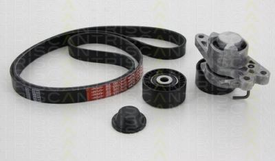 TRISCAN 8642 10001 поликлиновой ременный комплект на PEUGEOT 206 SW (2E/K)