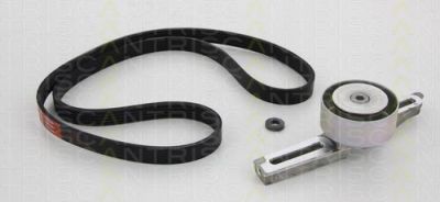 TRISCAN 8642 28003 поликлиновой ременный комплект на PEUGEOT 306 (7B, N3, N5)