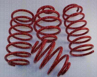 TRISCAN 8755 24006 комплект ходовой части, пружины на OPEL CORSA A TR (91_, 92_, 96_, 97_)