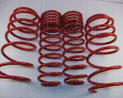 TRISCAN 8755 27005 комплект ходовой части, пружины на VOLVO 940 II универсал (945)