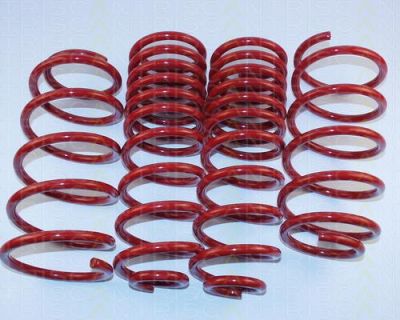 TRISCAN 8755 29005 комплект ходовой части, пружины на VW PASSAT Variant (3A5, 35I)
