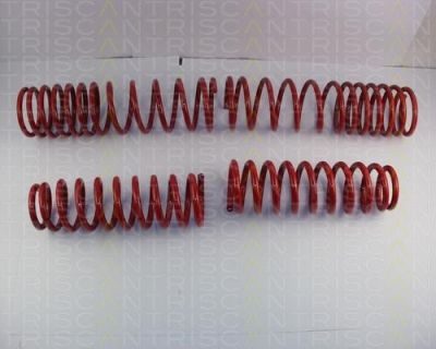 TRISCAN 8755 40008 комплект ходовой части, пружины на HONDA ACCORD IV (CB)