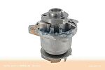 VAICO V10-50058 водяной насос на VW TRANSPORTER V c бортовой платформой/ходовая часть (7JD, 7JE,
