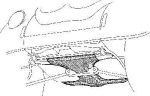 Van Wezel 5801369 днище кузова на VW KAEFER кабрио (15)
