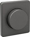 Kranz KR-78-0732-2 Светорегулятор ROUND (диммер) 300Вт с/у титан KRANZ Kranz KR-78-0732-2 Светорегулятор ROUND (диммер) 300Вт с/у титан KRANZ