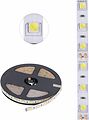 LAMPER 141-2027 Лента светодиодная 12В, SMD5050, 14,4Вт/м, 60 LED/м, 6500К, 10мм, 5м, для БП с клеммами, IP65 LAMPER LAMPER 141-2027 Лента светодиодная 12В, SMD5050, 14,4Вт/м, 60 LED/м, 6500К, 10мм, 5м, для БП с клеммами, IP65 LAMPER