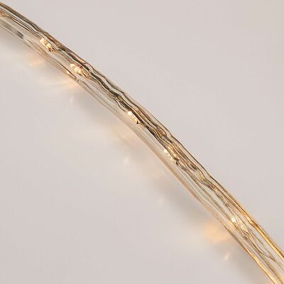 NEON-NIGHT 121-326-06 Дюралайт LED, свечение с динамикой (3W), 24 LED/м, ТЕПЛЫЙ БЕЛЫЙ, 6м