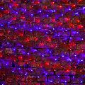 NEON-NIGHT 215-033 Гирлянда светодиодная Сеть 2,5х2,5м 432 LED КРАСНЫЙ/СИНИЙ черный ПВХ IP65 свечение с динамикой 230В контроллер в комплекте NEON-NIGHT NEON-NIGHT 215-033 Гирлянда светодиодная Сеть 2,5х2,5м 432 LED КРАСНЫЙ/СИНИЙ черный ПВХ IP65 свечение с динамикой 230В контроллер в комплекте NEON-NIGHT