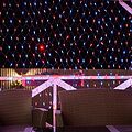 NEON-NIGHT 215-033 Гирлянда светодиодная Сеть 2,5х2,5м 432 LED КРАСНЫЙ/СИНИЙ черный ПВХ IP65 свечение с динамикой 230В контроллер в комплекте NEON-NIGHT NEON-NIGHT 215-033 Гирлянда светодиодная Сеть 2,5х2,5м 432 LED КРАСНЫЙ/СИНИЙ черный ПВХ IP65 свечение с динамикой 230В контроллер в комплекте NEON-NIGHT