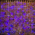 NEON-NIGHT 235-143 Гирлянда светодиодная Занавес 2х3м 760 LED СИНИЙ черный ПВХ IP65 постоянное свечение 230В нужен блок 303-500 NEON-NIGHT NEON-NIGHT 235-143 Гирлянда светодиодная Занавес 2х3м 760 LED СИНИЙ черный ПВХ IP65 постоянное свечение 230В нужен блок 303-500 NEON-NIGHT