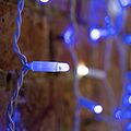 NEON-NIGHT 235-223 Гирлянда светодиодная Занавес 2х1,5м 300 LED СИНИЙ белый ПВХ IP65 эффект мерцания 230В нужен блок 303-500-1 NEON-NIGHT NEON-NIGHT 235-223 Гирлянда светодиодная Занавес 2х1,5м 300 LED СИНИЙ белый ПВХ IP65 эффект мерцания 230В нужен блок 303-500-1 NEON-NIGHT
