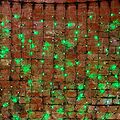 NEON-NIGHT 235-236 Гирлянда светодиодная Занавес 2х1,5м 360 LED ЗЕЛЕНЫЙ черный ПВХ IP65 эффект мерцания 230 В блок в комплекте NEON-NIGHT NEON-NIGHT 235-236 Гирлянда светодиодная Занавес 2х1,5м 360 LED ЗЕЛЕНЫЙ черный ПВХ IP65 эффект мерцания 230 В блок в комплекте NEON-NIGHT