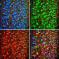 NEON-NIGHT 245-309 Гирлянда светодиодная Занавес 2х1,5м 300 LED RGB прозрачный ПВХ IP65 для свечения с динамикой 230В нужен контроллер 245-908 NEON-NIGHT NEON-NIGHT 245-309 Гирлянда светодиодная Занавес 2х1,5м 300 LED RGB прозрачный ПВХ IP65 для свечения с динамикой 230В нужен контроллер 245-908 NEON-NIGHT