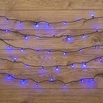 NEON-NIGHT 303-023 Гирлянда Твинкл Лайт 6 м, темно-зеленый ПВХ, 40 LED, цвет: Синий