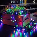 NEON-NIGHT 303-629 Гирлянда Кластер LED 3 м, темно-зеленый ПВХ IP20, 288 диодов, цвет мультиколор