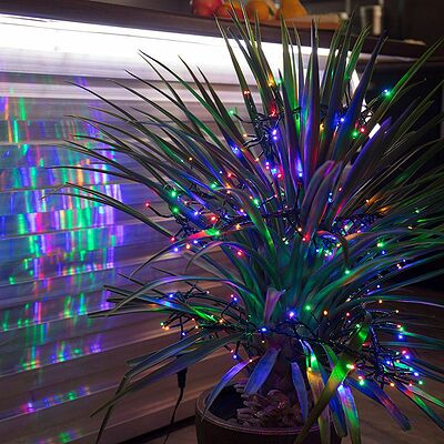 NEON-NIGHT 303-629 Гирлянда Кластер LED 3 м, темно-зеленый ПВХ IP20, 288 диодов, цвет мультиколор