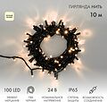 NEON-NIGHT 305-246 Гирлянда светодиодная Нить 10м 100 LED ТЕПЛЫЙ БЕЛЫЙ черный ПВХ IP65 эффект мерцания 24В соединяется NEON-NIGHT нужен трансформатор 531-100/531-311/531-312 NEON-NIGHT 305-246 Гирлянда светодиодная Нить 10м 100 LED ТЕПЛЫЙ БЕЛЫЙ черный ПВХ IP65 эффект мерцания 24В соединяется NEON-NIGHT нужен трансформатор 531-100/531-311/531-312